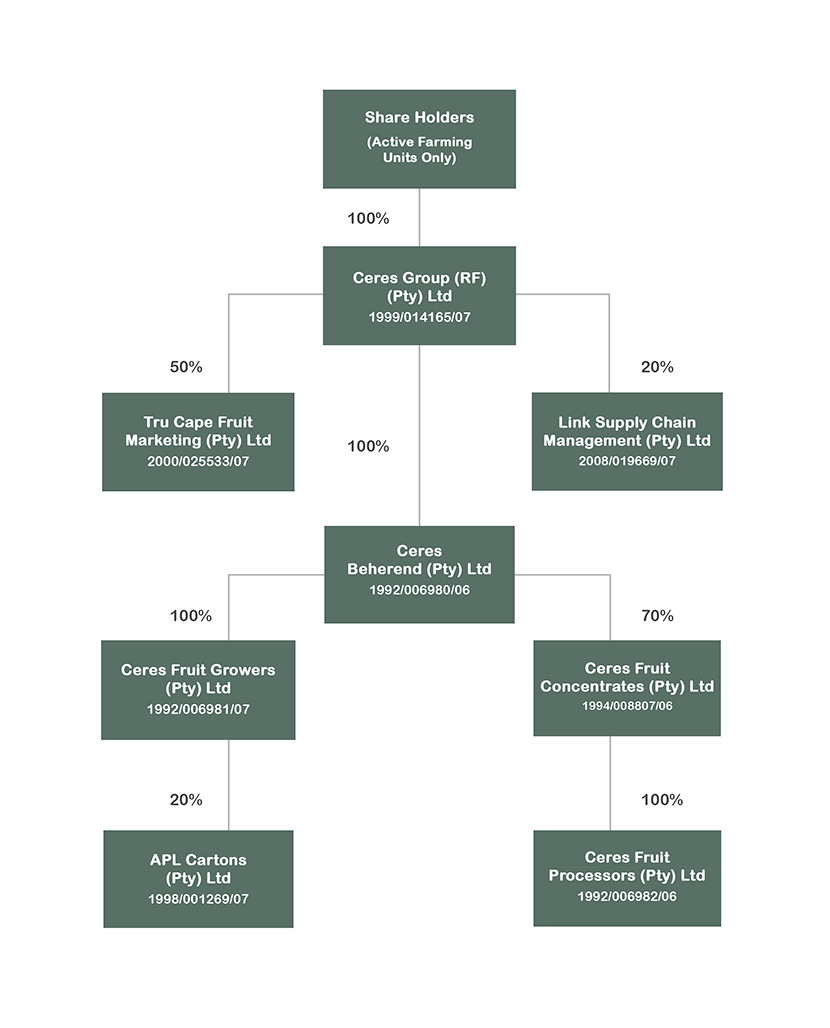 Who-We-Are-NEW-Group-Structure